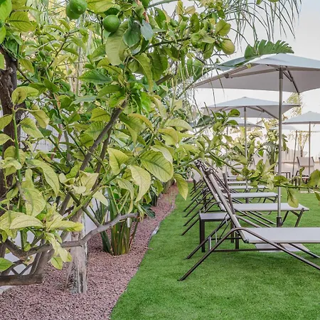 Renova